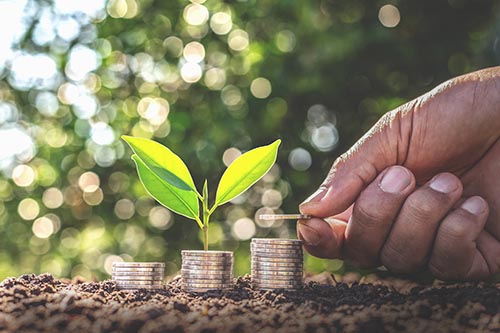 Hand giving a coin to a tree growing from pile In coin Money. Fi